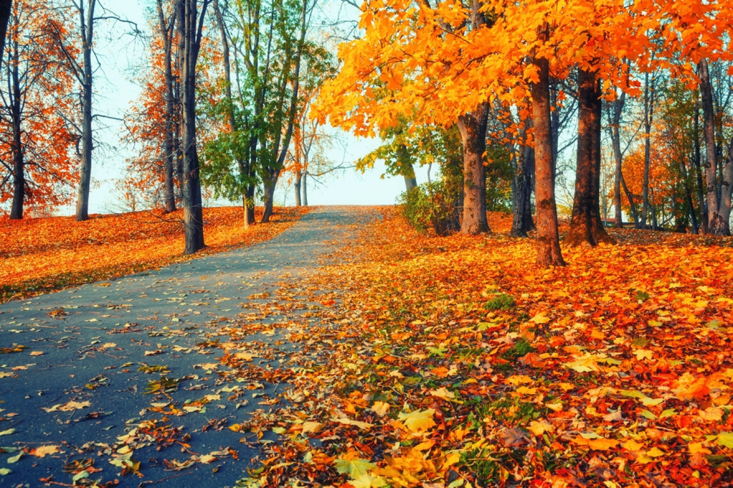 Fall Weather is Here