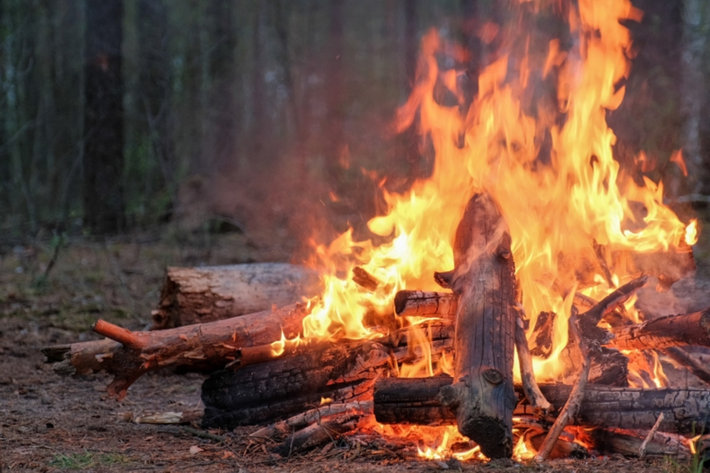 Crisp air, cozy flannels, and reliable batteries-find them at Battery World in Syracuse or Vestal. Don't miss out on your fall fun; keep every adventure powered and worry-free.